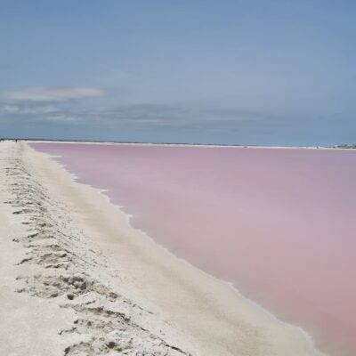 Los Coloradas